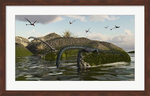 Framed Tanystropheus Fishes From The Rocks Print