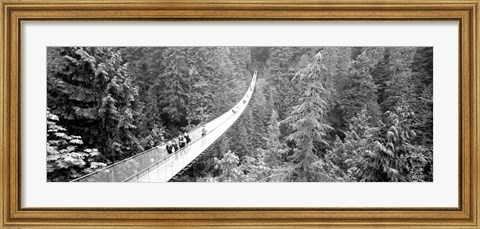 Framed Capilano Bridge, Suspended Walk, Vancouver, British Columbia, Canada BW Print