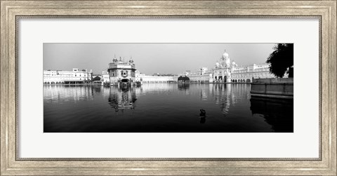 Framed Temple at the waterfront, Golden Temple, Amritsar, Punjab, India Print