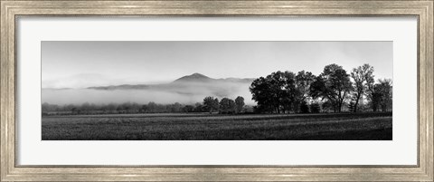 Framed Fog over mountain, Cades Cove, Great Smoky Mountains National Park, Tennessee Print