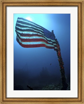 Framed American Flag on a Sunken Ship in Key Largo, Florida Print