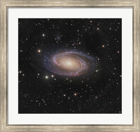 Framed Messier 81 spiral galaxy in the Constellation Ursa Major Print