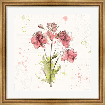 Framed Floral Splash V Print