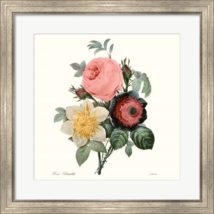 Framed Blushing Bouquet II Print