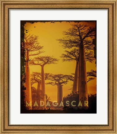 Framed Vintage Baobab Trees in Madagascar, Africa Print