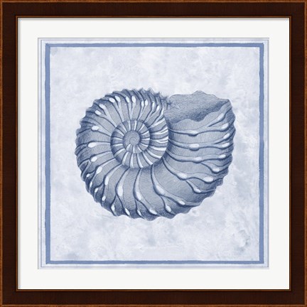 Framed Blue Nautilus C Print