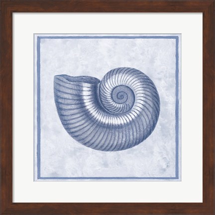 Framed Blue Nautilus D Print