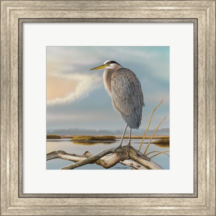 Framed Marsh Watch - Great Blue Heron Print