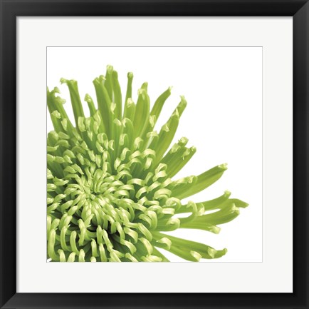 Framed Green Bloom 3 (detail) Print