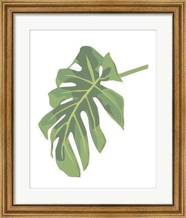 Framed Philodendron 3 Print
