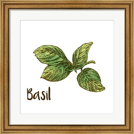 Framed Basil Print