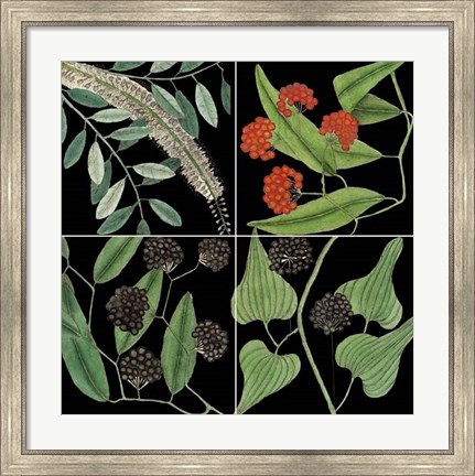 Framed Graphic Botanical Grid IV Print