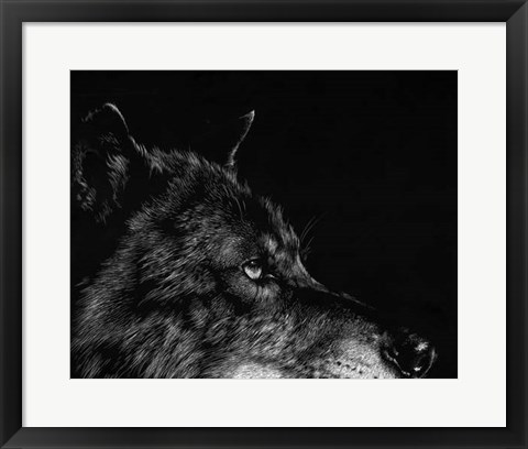 Framed Scratchboard Wolf I Print