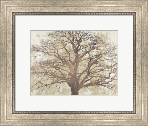 Framed Sacred Oak Print