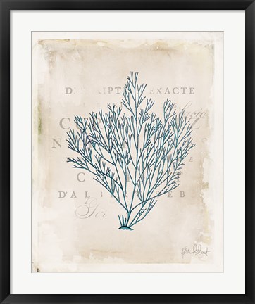 Framed Sea Garden II Print