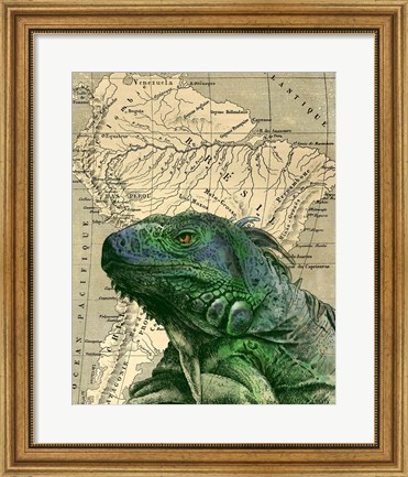 Framed Brazilian Iguana Print