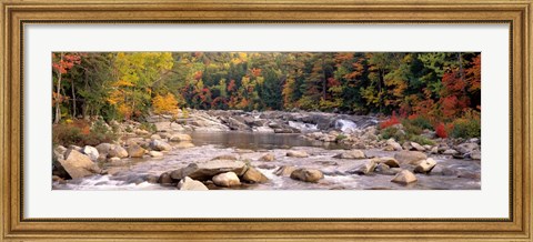 Framed New Hampshire, White Mountains National Forest, River flowing through the wilderness Print
