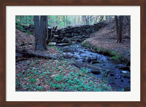 Framed Banks of Lamprey River, National Wild and Scenic River, New Hampshire Print