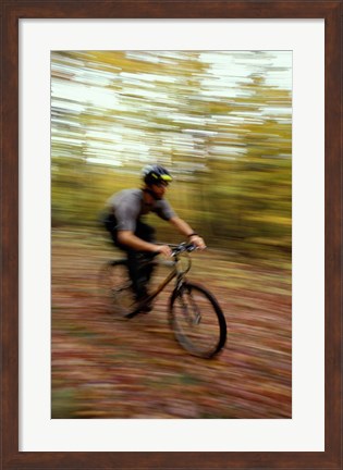Framed Mountain Biking, Old Logging Road, New Hampshire Print