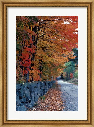 Framed Fall Colors in the White Mountains, New Hampshire Print