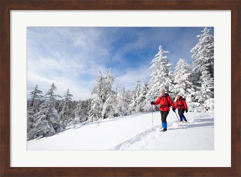 Framed Winter Hiking on Mount Cardigan, Clark Trail, Canaan, New Hampshire Print