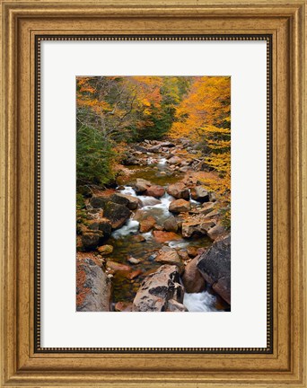 Framed Liberty Gorge, Franconia Notch State Park, New Hampshire Print