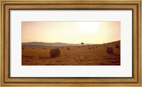 Framed Hay Bales, Tuscany, Italy Print