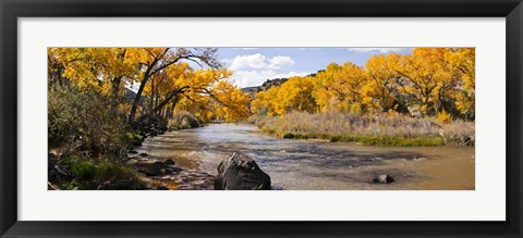 Framed Rio Grande River, Pilar, New Mexico Print