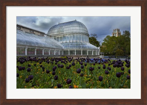 Framed Palm House in the Botanic Gardens, Northern Ireland Print