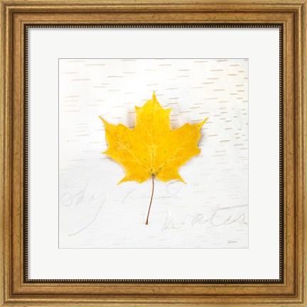 Framed Autumn Colors II Print