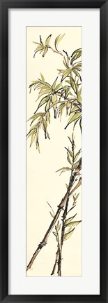 Framed Summer Bamboo I Print