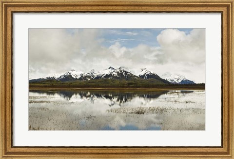 Framed Snowcapped Chugach Mountains in Copper River Delta, Chugach National Forest, Alaska Print