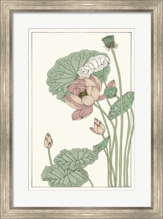 Framed Botanical Gloriosa Lotus II Print