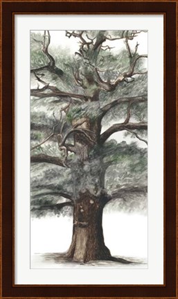 Framed Oak Tree Composition I Print