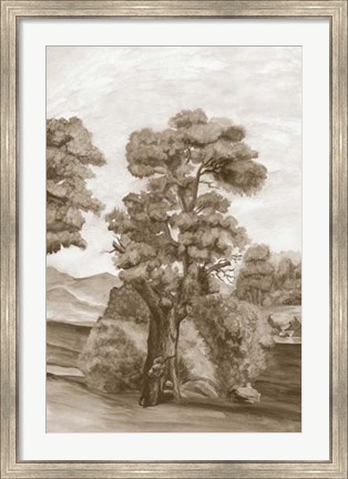 Framed Sepia French Wall Paper II Print