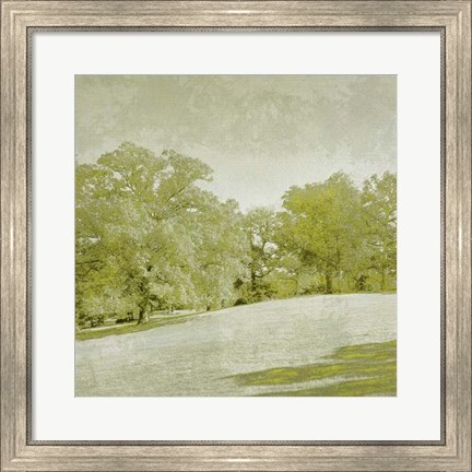 Framed Beryl Landscape  II Print