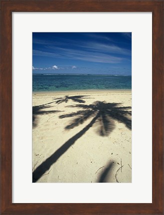 Framed Shadow of Palm Trees on Beach, Coral Coast, Fiji Print