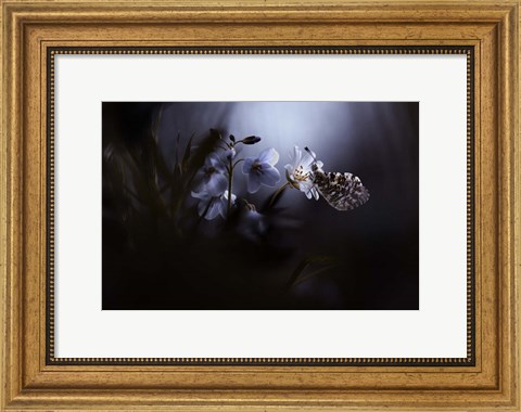 Framed In Your Dreams, Everything Is Alright Print
