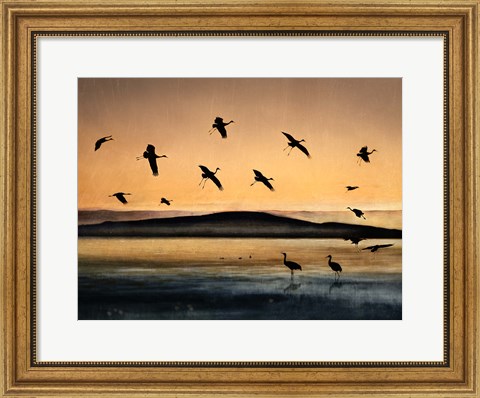 Framed Fly-In At Sunset Print