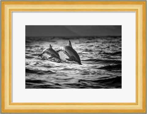 Framed Mother And The Baby Print