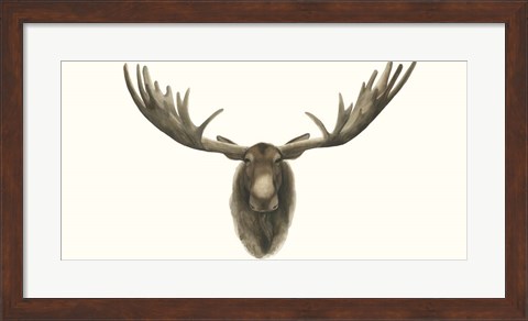 Framed Moose Bust Print