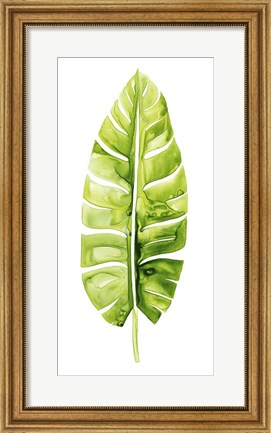 Framed Banana Leaf Study II Print