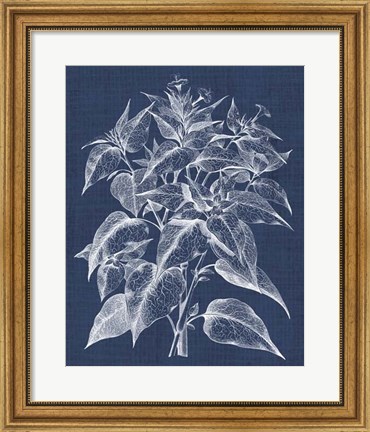 Framed Foliage Chintz III Print