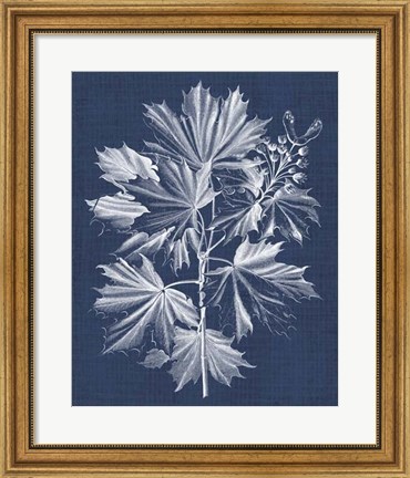 Framed Foliage Chintz V Print