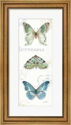 Framed My Greenhouse Butterflies VI Print