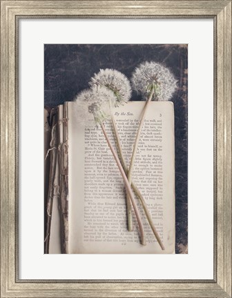 Framed By The Sea (Book) Print