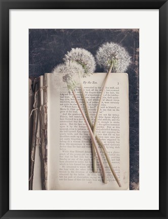 Framed By The Sea (Book) Print