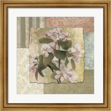 Framed Botanical Blossom Print