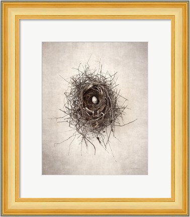 Framed Nest I Print