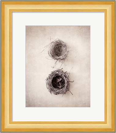 Framed Nest IV Print